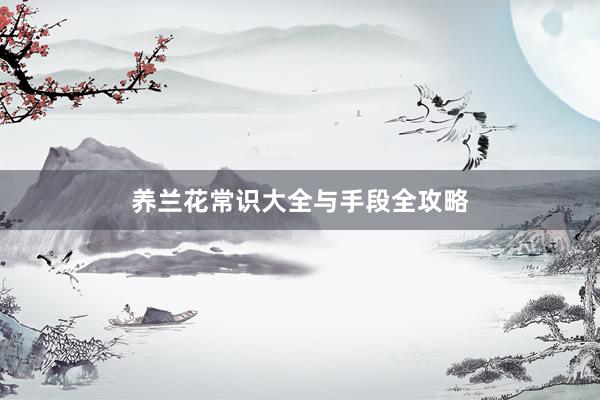 养兰花常识大全与手段全攻略