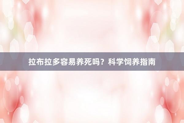 拉布拉多容易养死吗？科学饲养指南