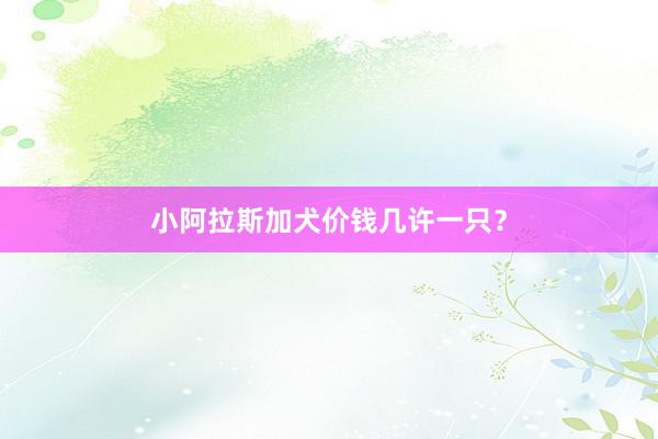 小阿拉斯加犬价钱几许一只？