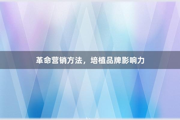 革命营销方法，培植品牌影响力